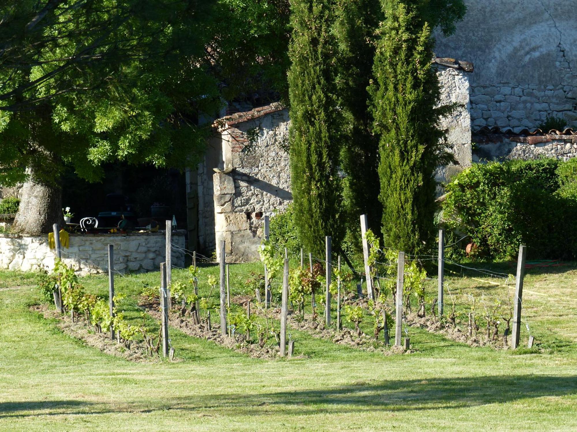 Отель Domaine De La Monestarie - Teritoria Bernac  Экстерьер фото