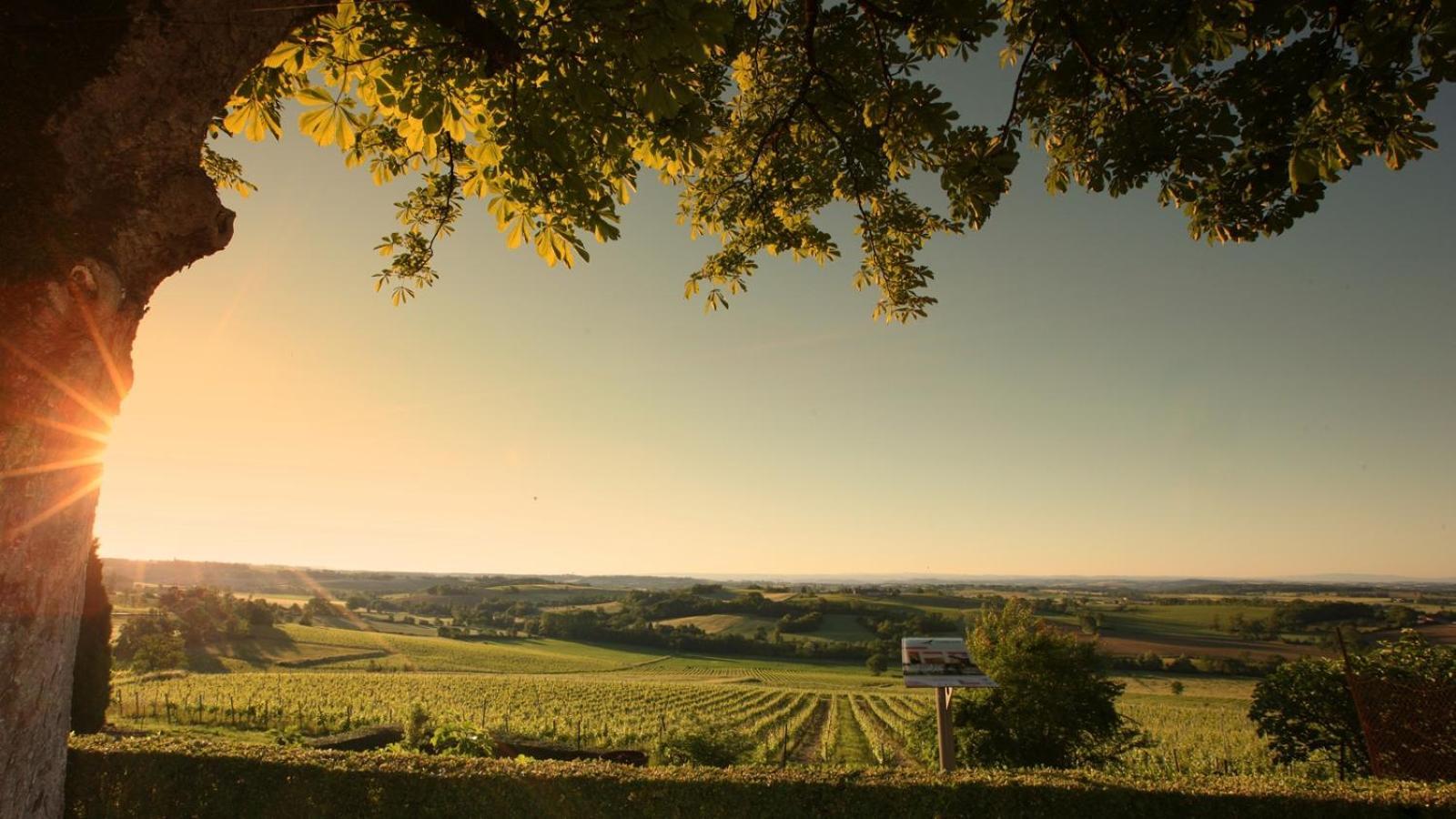 Отель Domaine De La Monestarie - Teritoria Bernac  Экстерьер фото