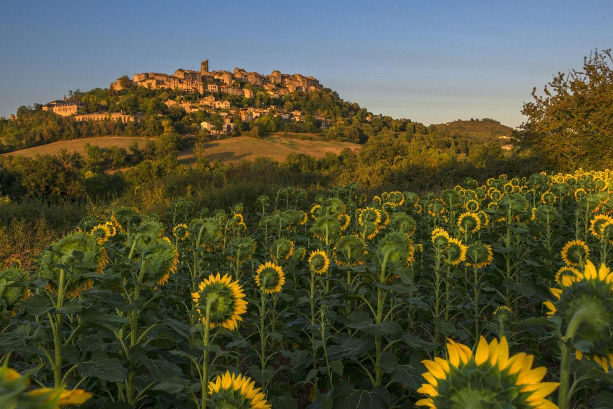 Отель Domaine De La Monestarie - Teritoria Bernac  Экстерьер фото